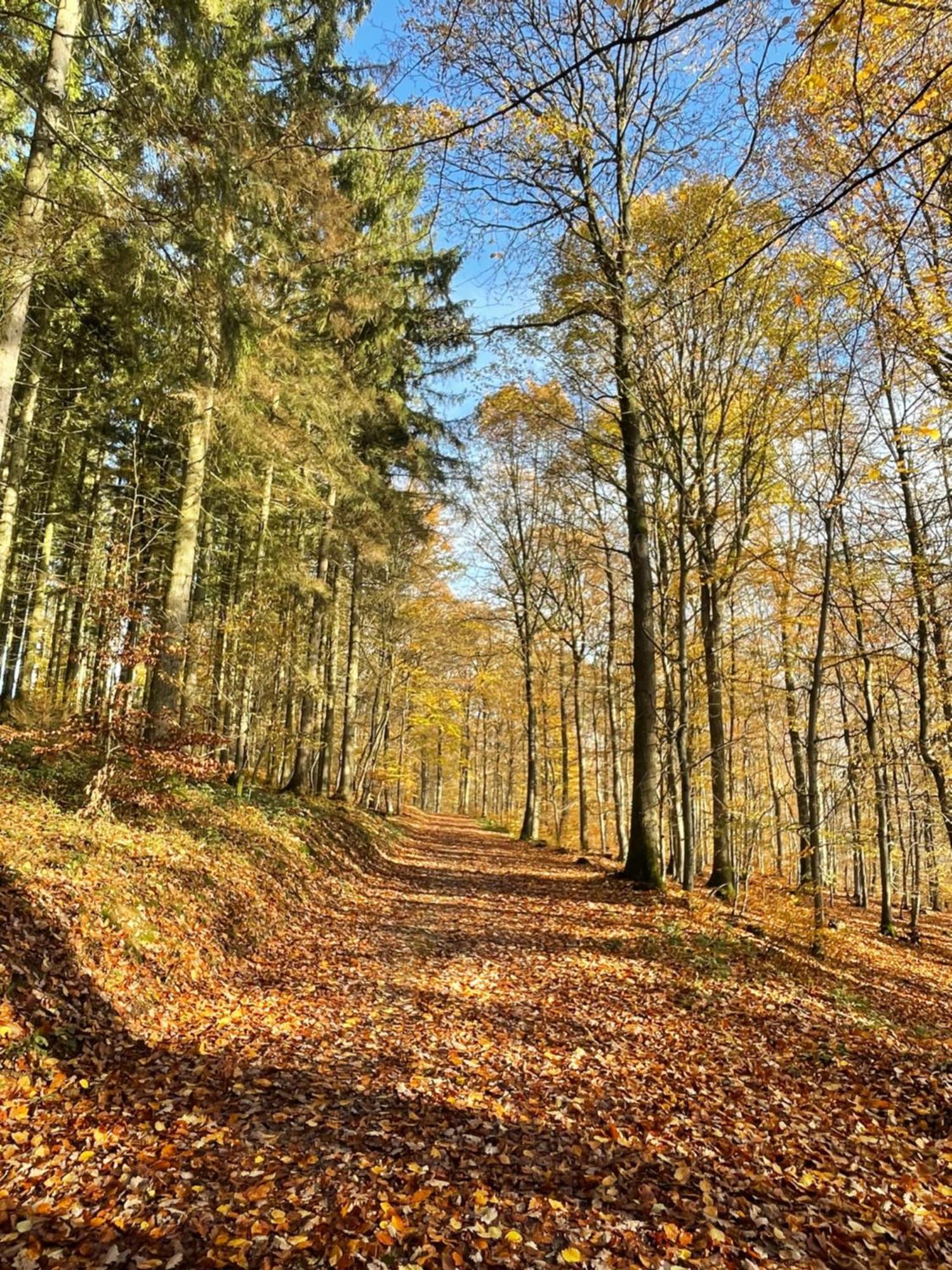 Ferienwohnung Gästehaus Ute Müller Wimbach Exterior foto